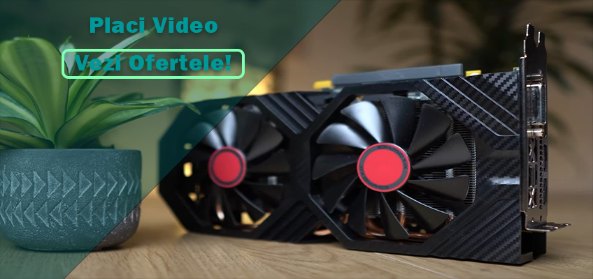 placa video